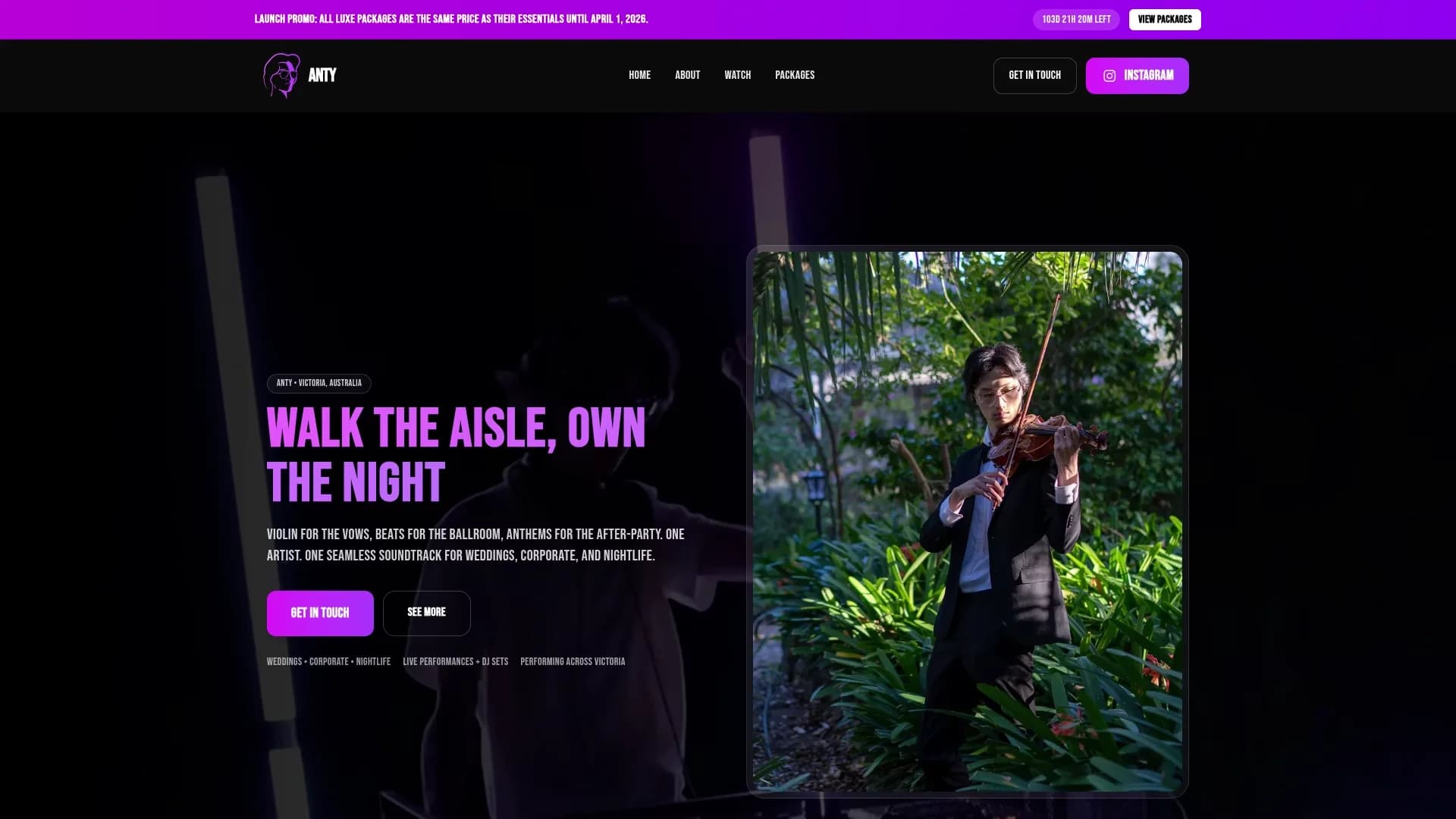 Preview of https://antyentertainment.com/